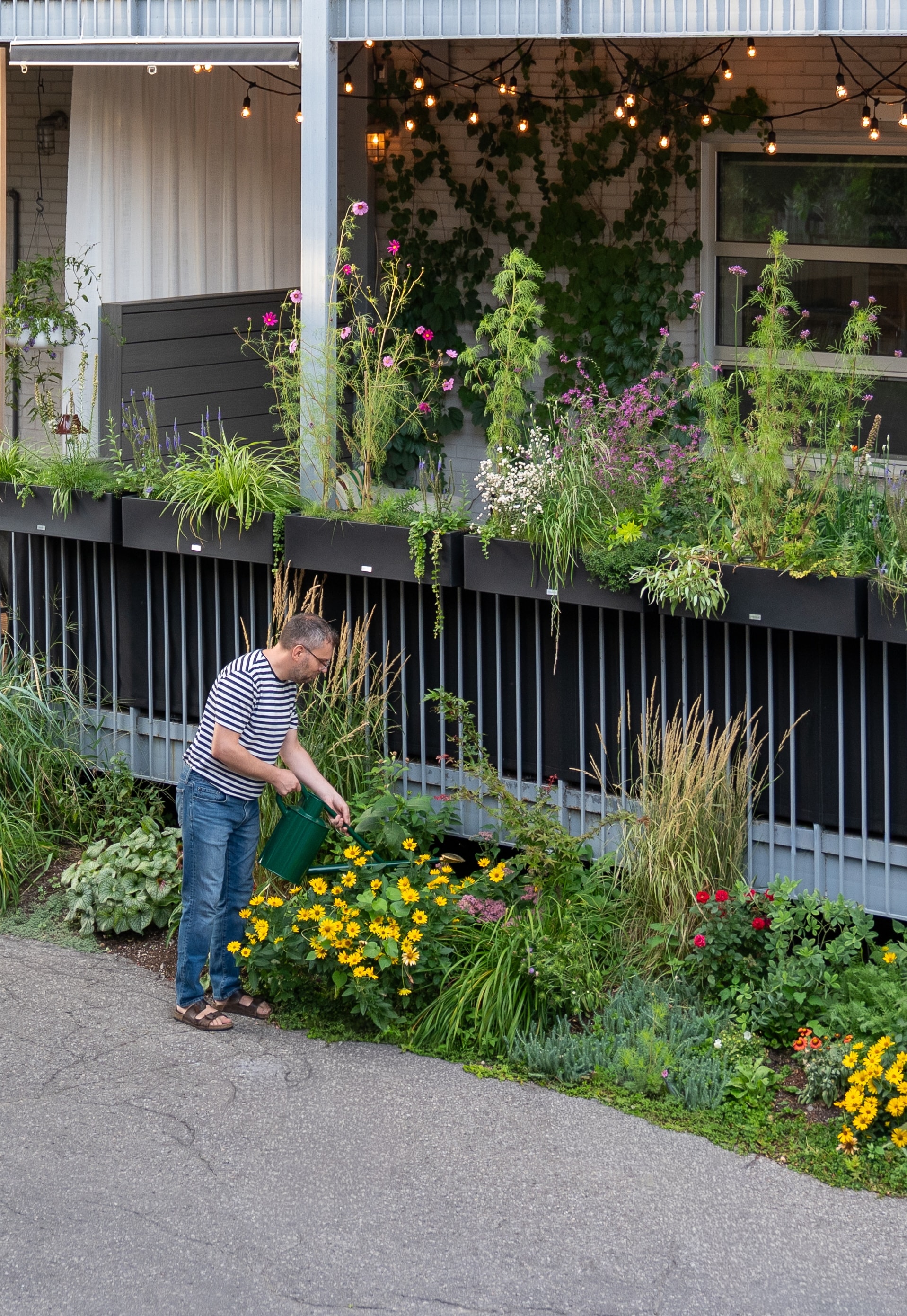 Mathieu Jacques Bourgault arrose les plantations de la terrasse Letourneux, un projet réalisé par Ligne et By Lemoignan à Montréal.