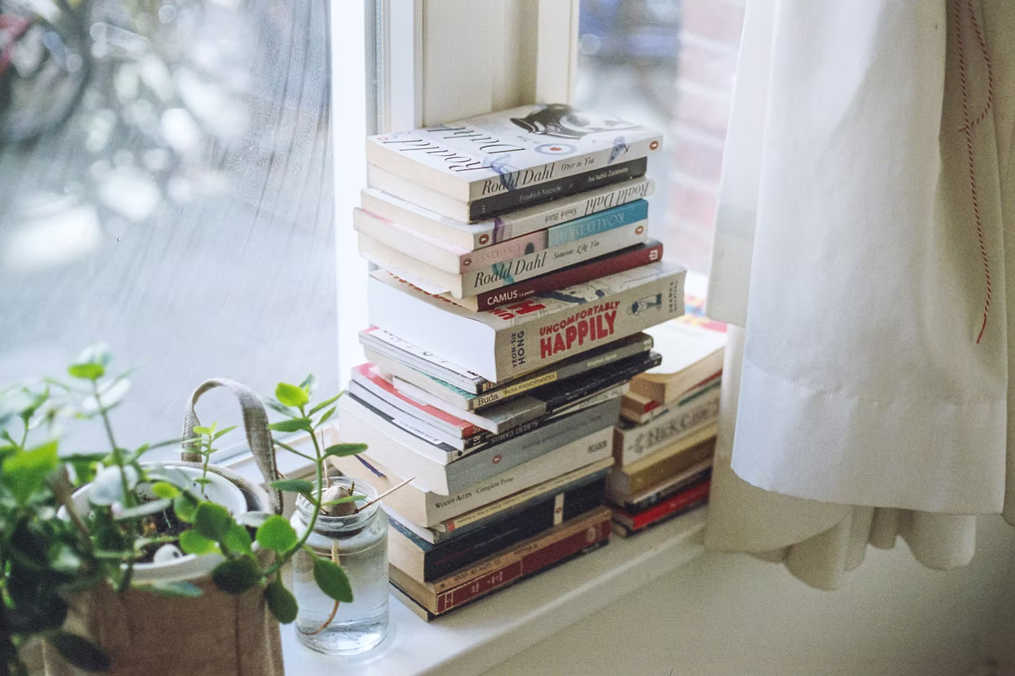 Grande bibliothèque intégrée remplie de livres dans un intérieur lumineux et chaleureux.