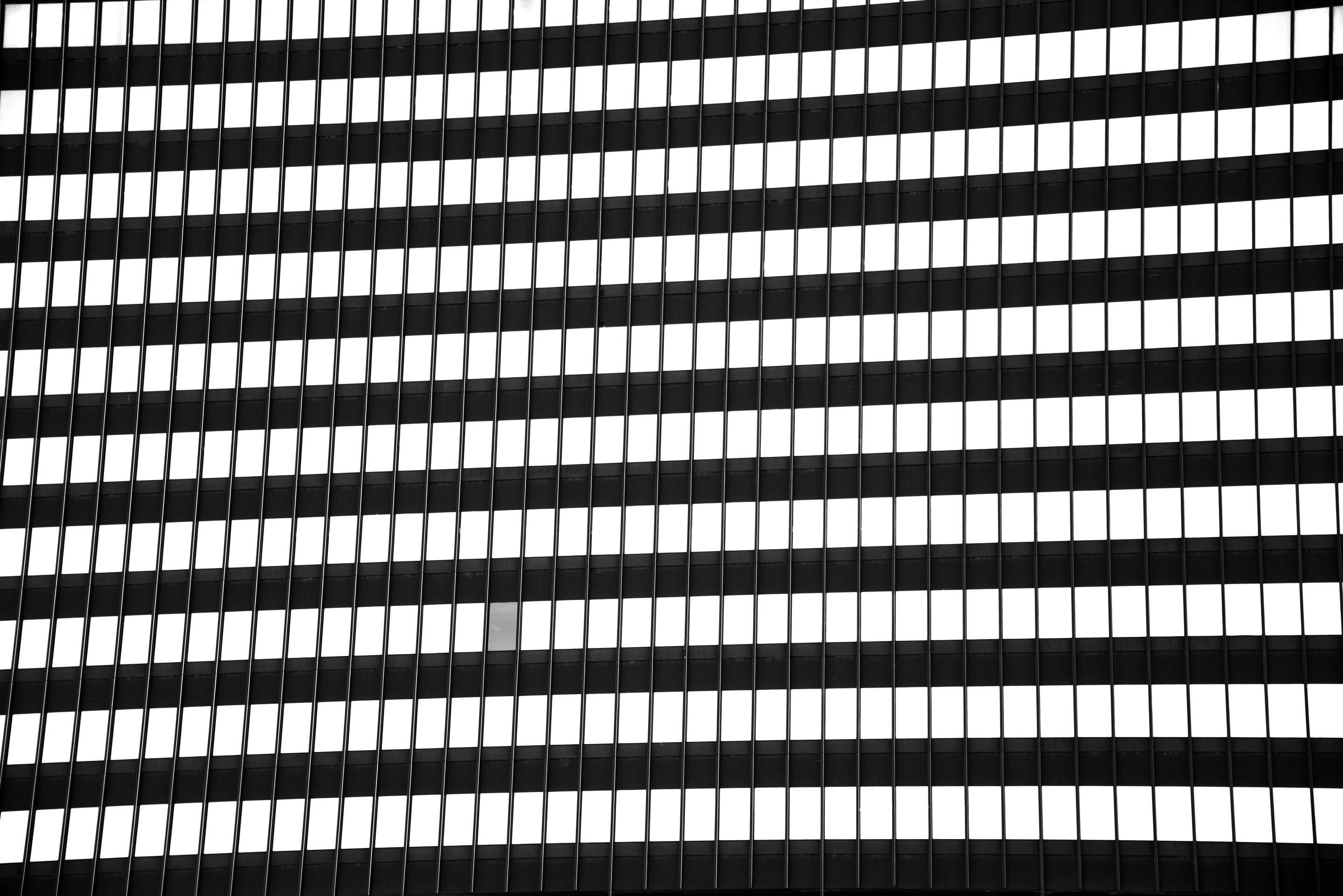 Neil Anton Dumas - Portfolio Photo - Neil Anton Dumas - 01.jpg