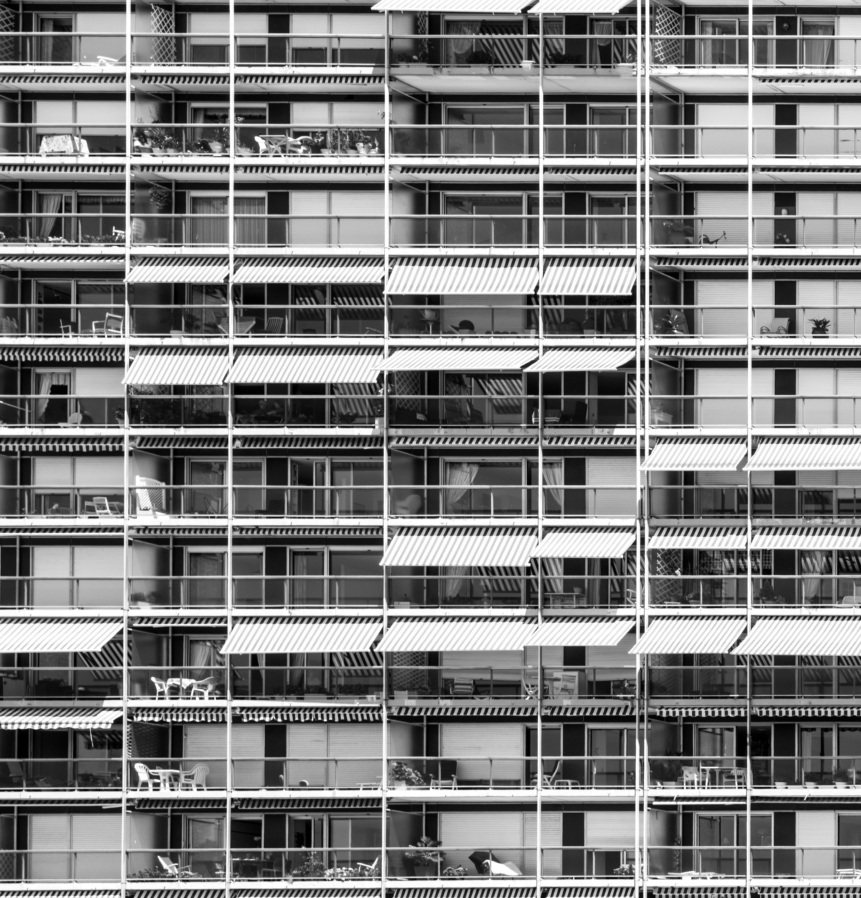 Neil Anton Dumas - Portfolio Photo - Neil Anton Dumas - 03.jpeg